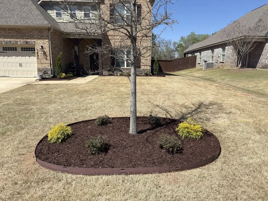 Round mulched bed with shrubs around a tree