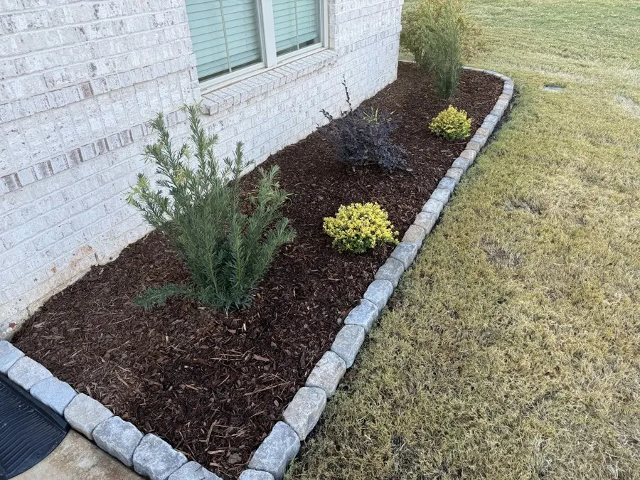 Mulched bed with plants beside a brick wall