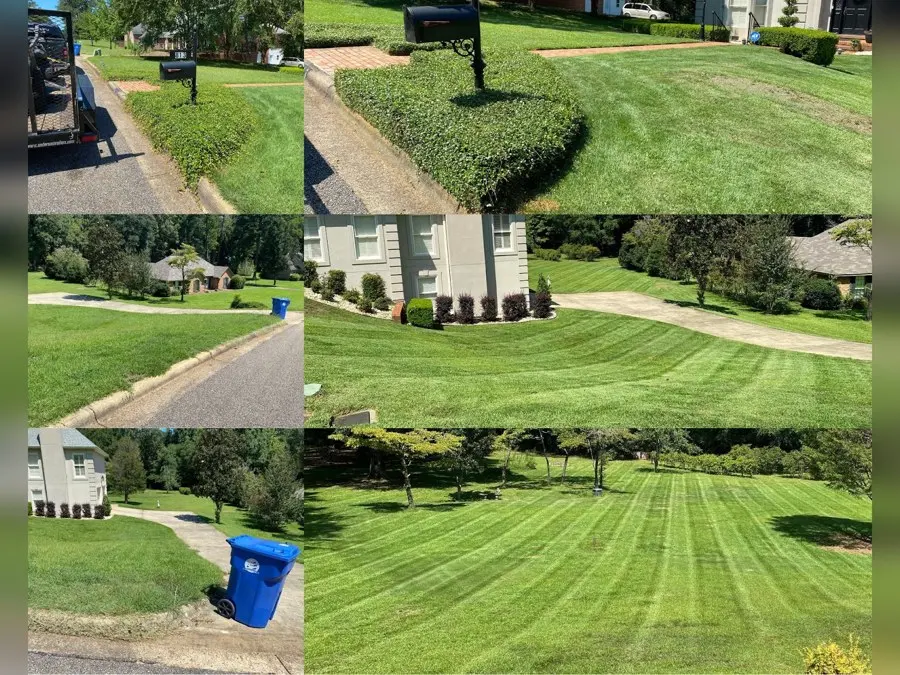 Collage of freshly striped lawns